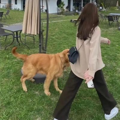 完美娇妻